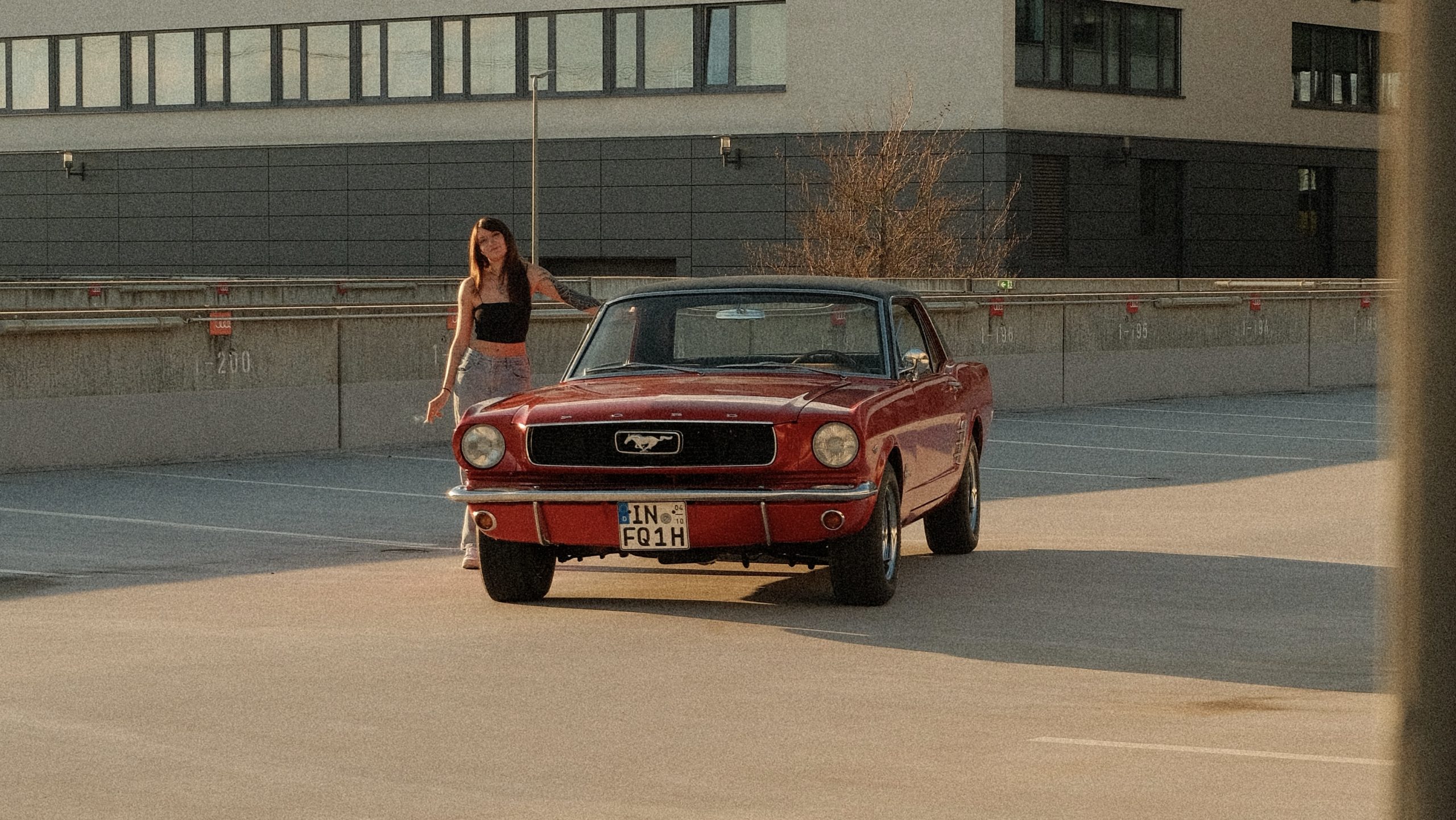 Wie der Mustang zu mir kam